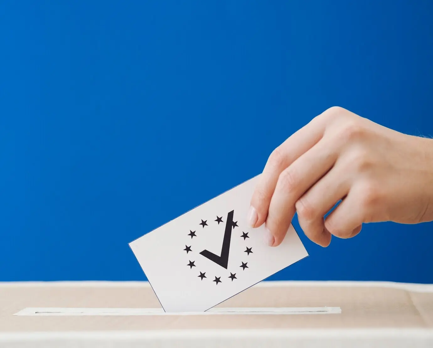 Женщина, повернутая боком, принимающая участие в европейских выборах.